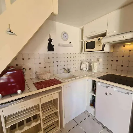 Tatil Evi Maison Lumineuse Avec Piscine, A 2 Pas De L'ocean - 5 Couchages, - Fr-1-224c-125